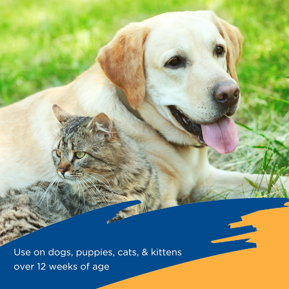 Zodiac Flea & Tick Spray for Dogs, Cats