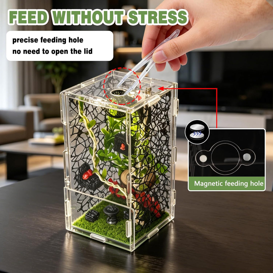 Jumping Spider Enclosure Kit 22pcs Terrarium with Decor