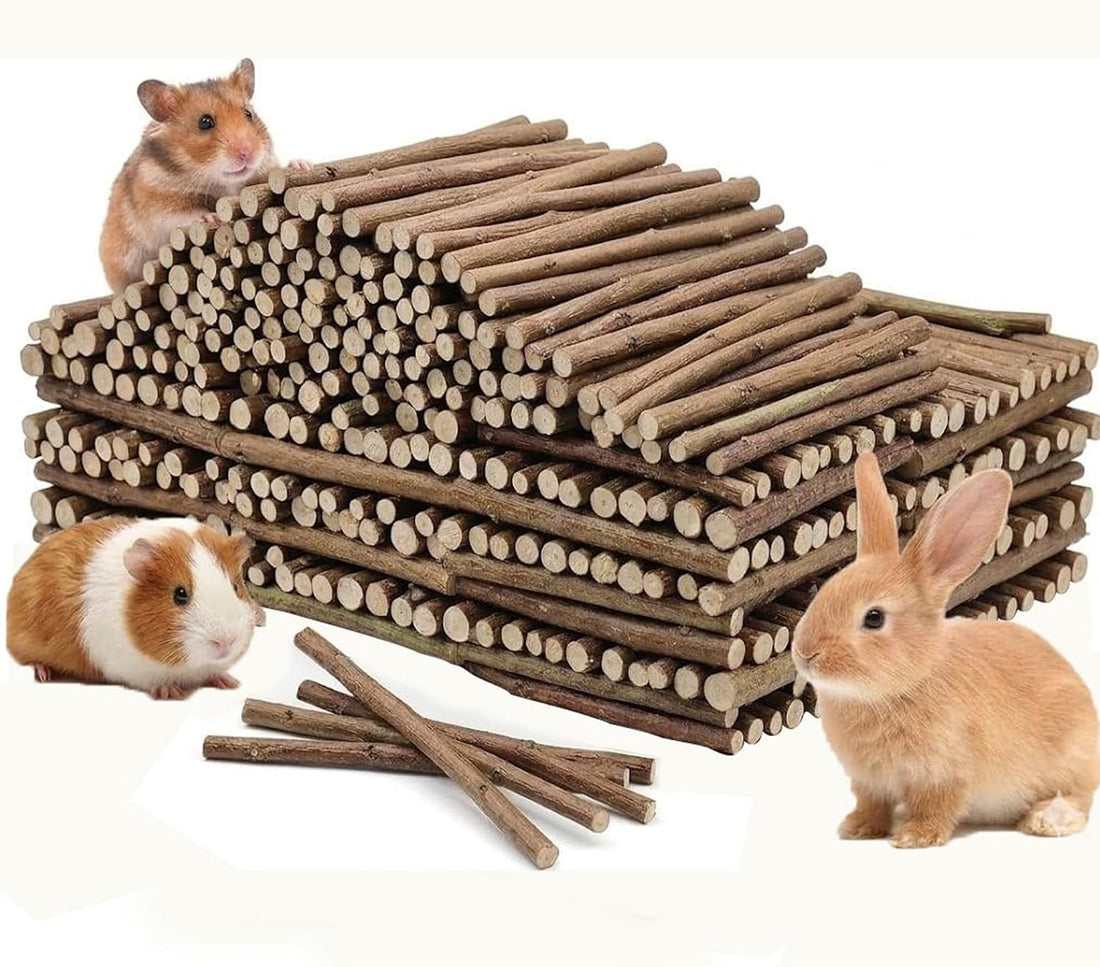 WDEFUN 500g Organic Apple Sticks Small Animals Molar Wood Treats Toys