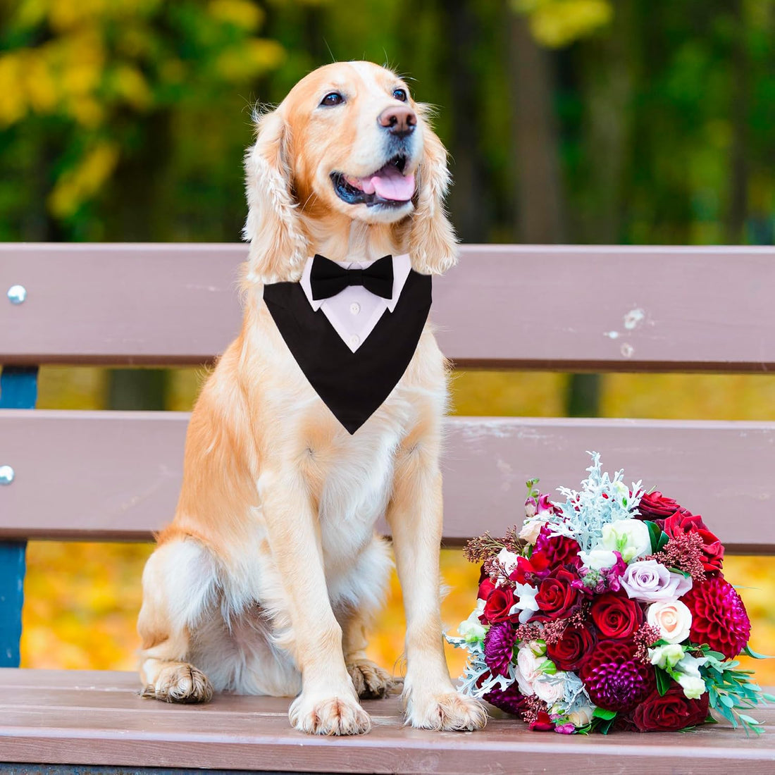 ADOGGYGO Dog Tuxedo Collar, Wedding Dog Bow Tie