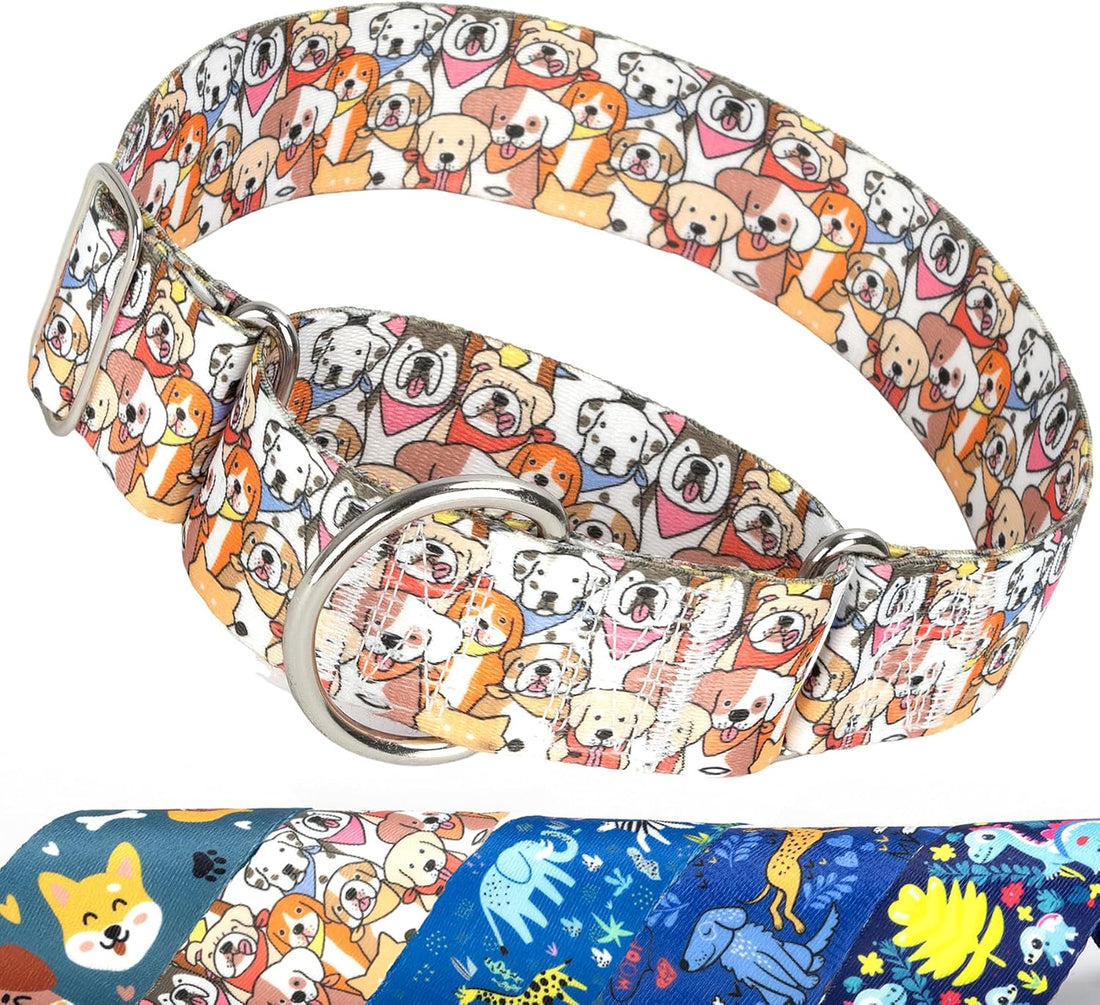 Wide Martingale Collar for Dogs,Red Floral No Pull Dog Collar