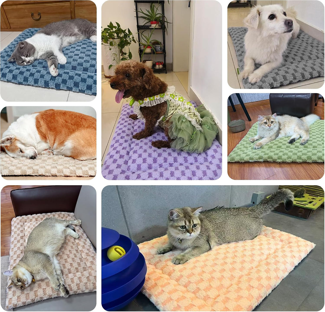 Pet Bed Mat Crate Pad for Cats Small Dogs, Khaki 24''x18''