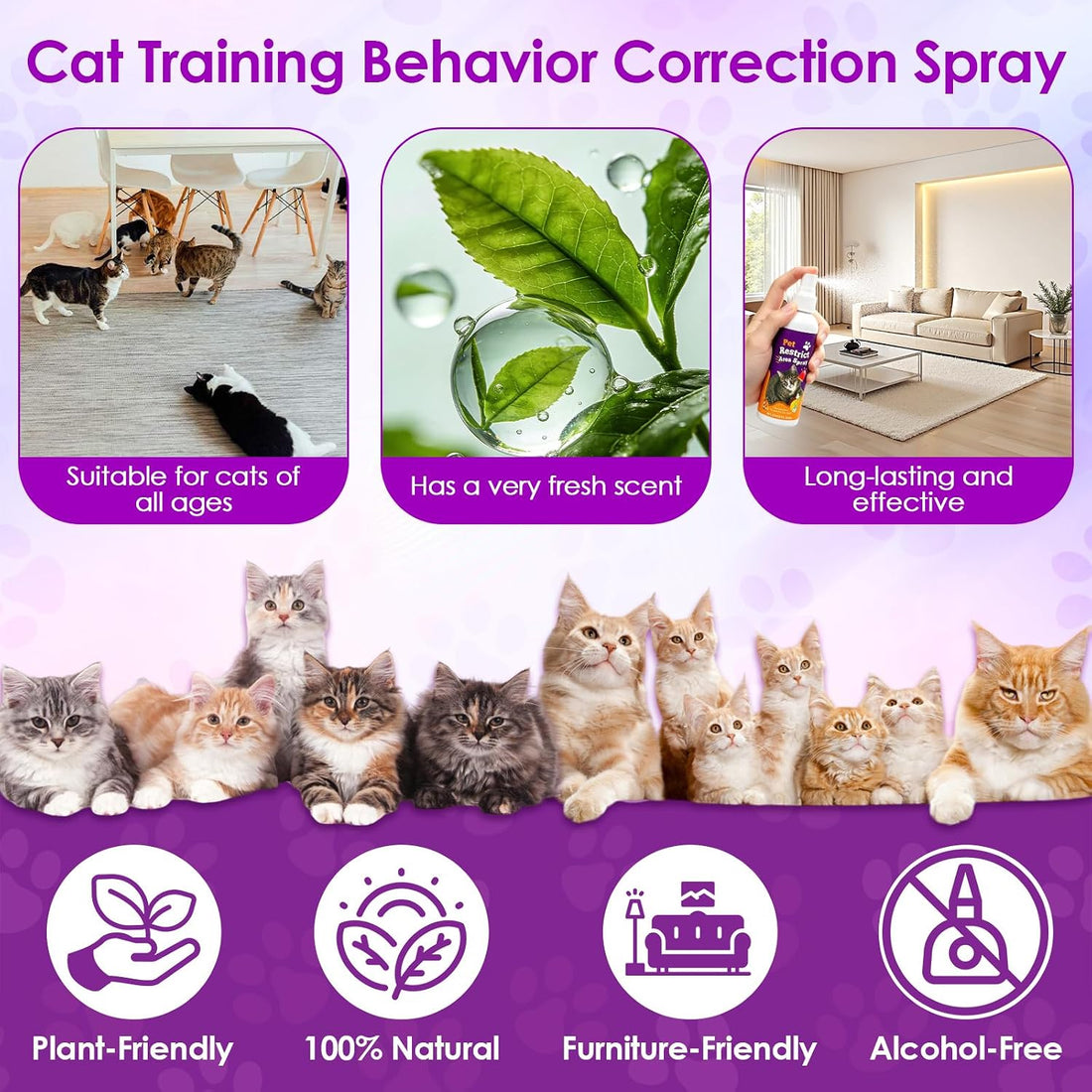 Citrus Cat Deterrent Spray for Furniture Protection