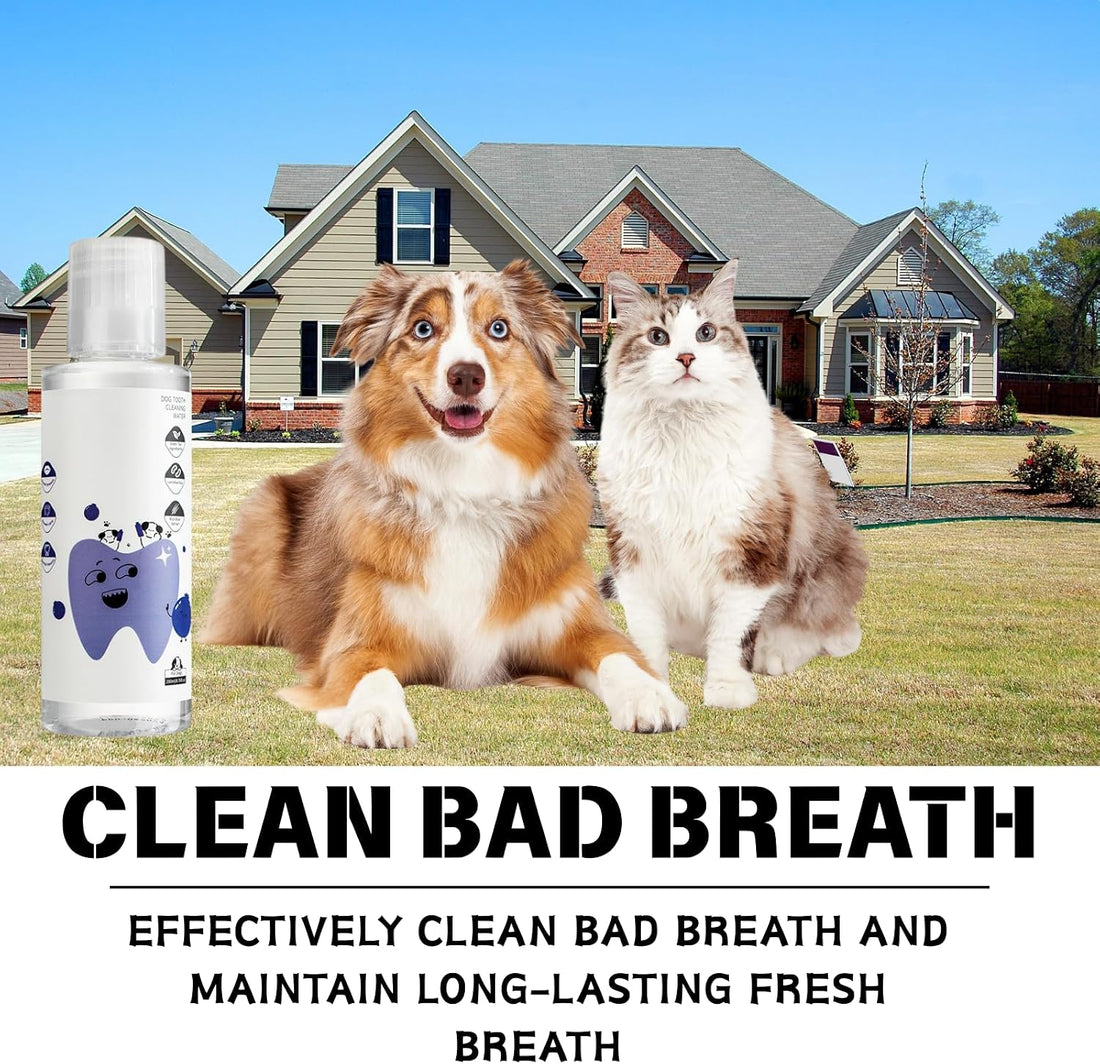 2Pcs Dental Plus,Freshen Breath, Natural