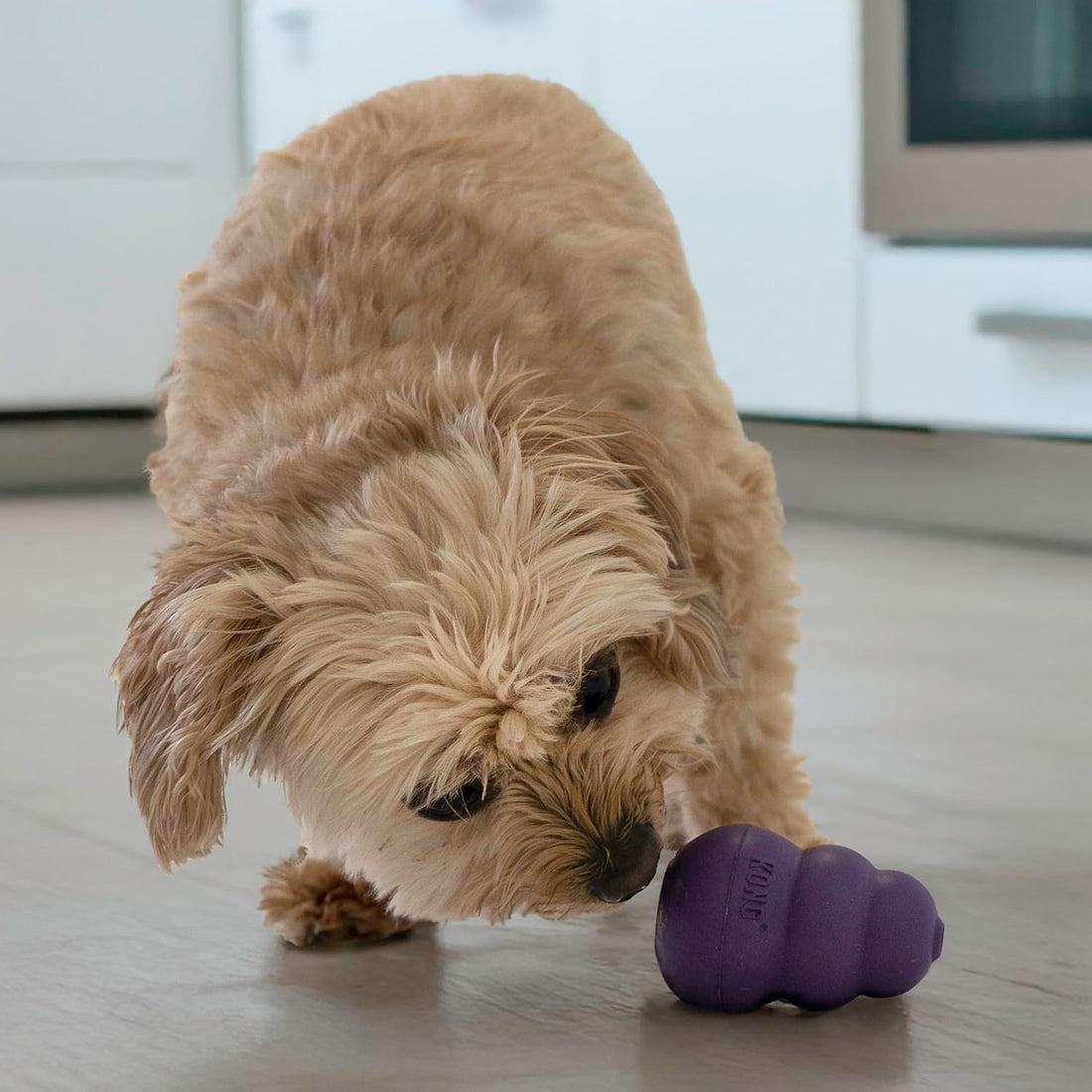 KONG Senior - Dog Toy with Gentle, Natural Rubber
