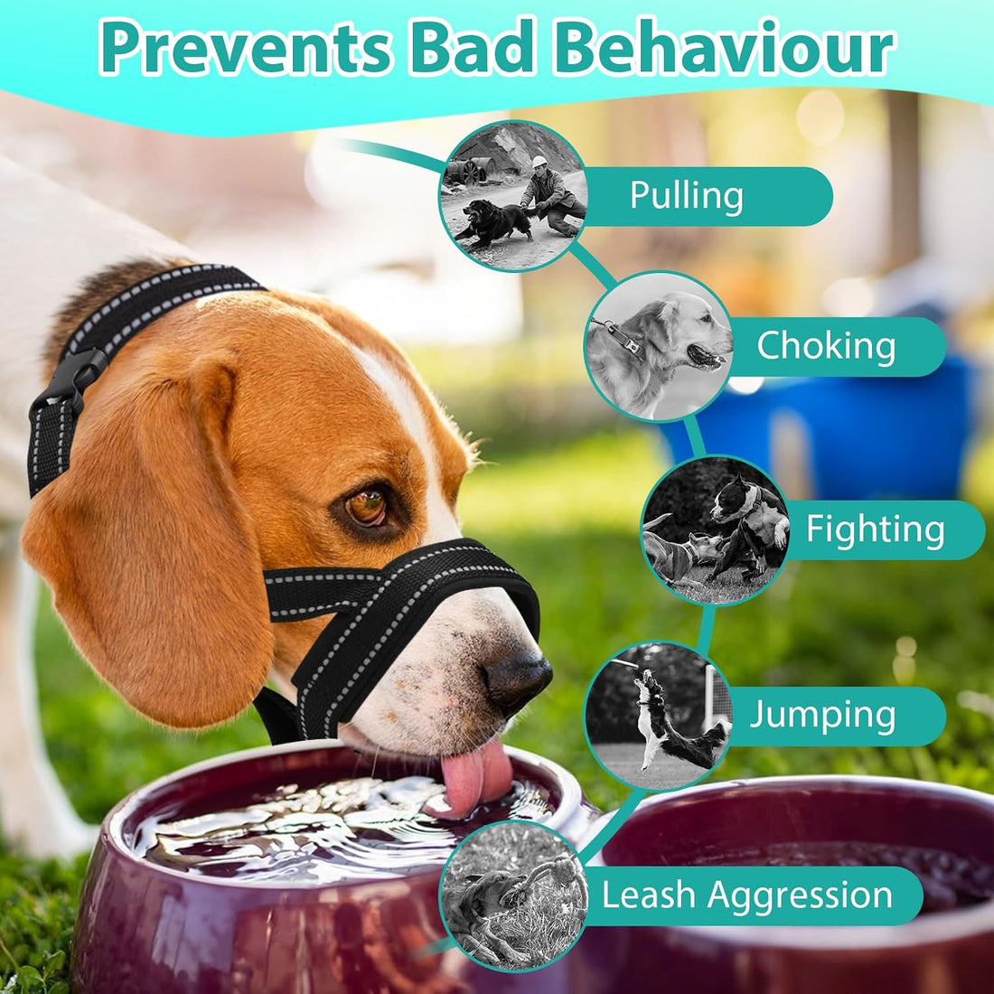 Dog Headcollar, Anti-Pull Dog Collar