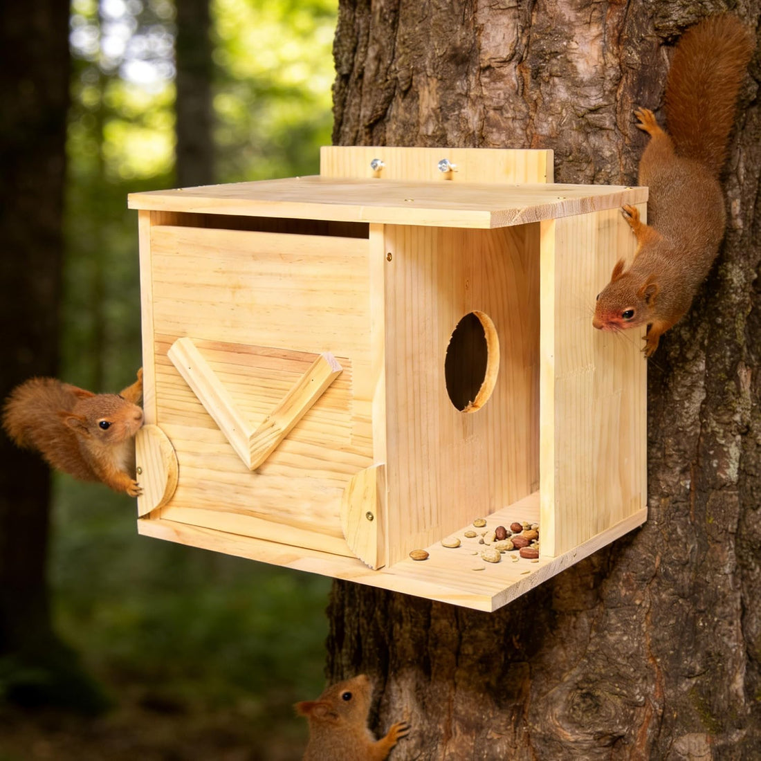 Handmade Squirrel House with Covered Porch