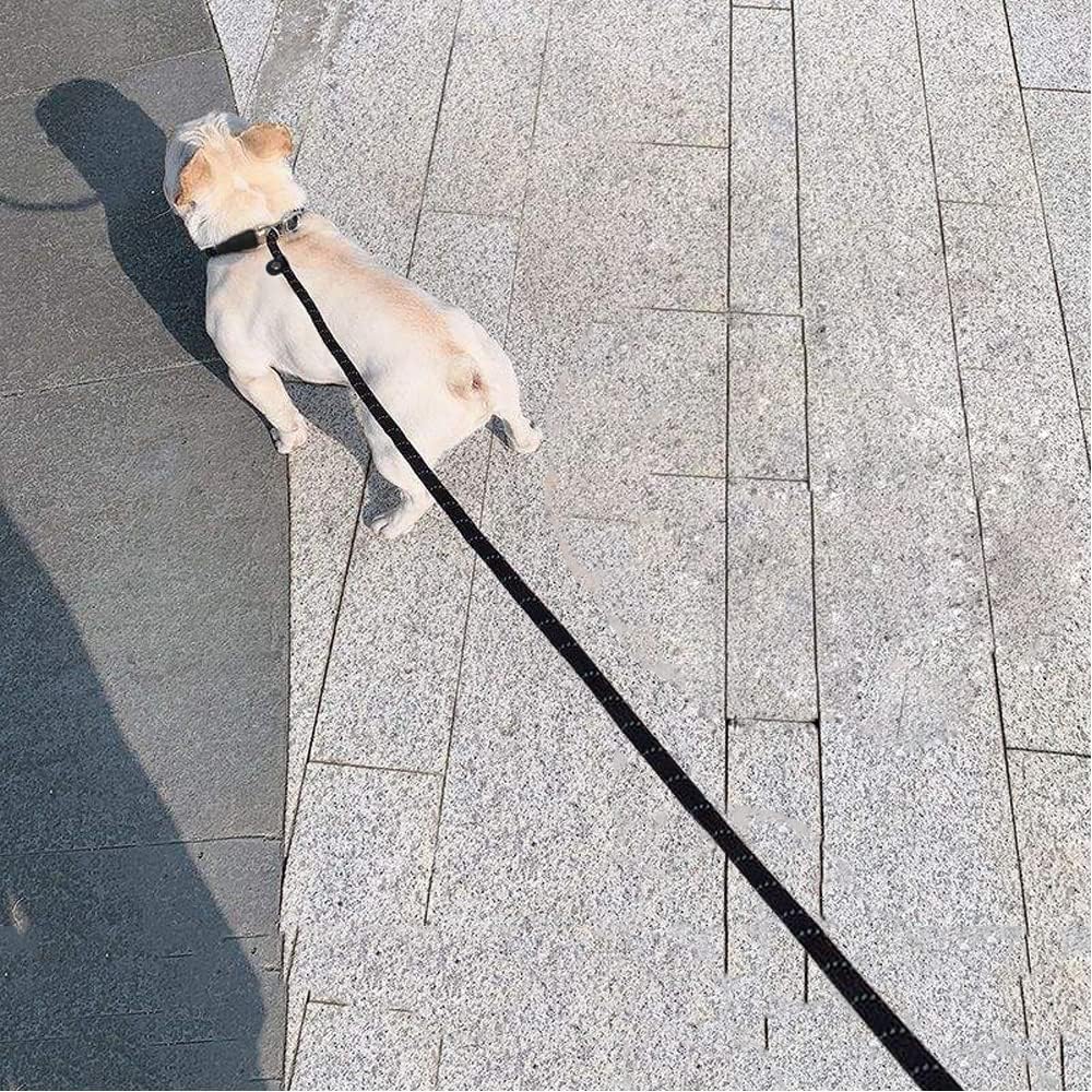 BTINESFUL 10/15/20FT Long Slip Lead Dog Training Leash
