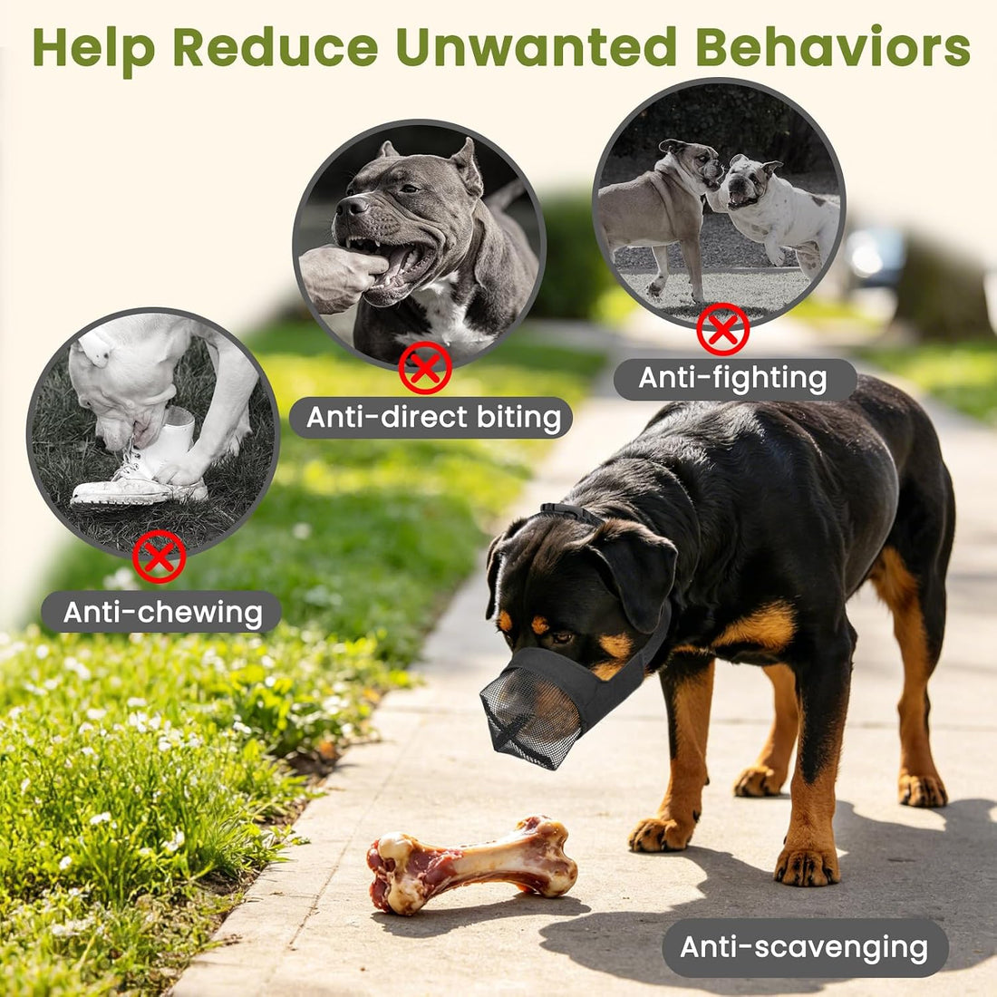 Mayerzon Full Covered Muzzle for Pitbull Bully Rottweiler Medium
