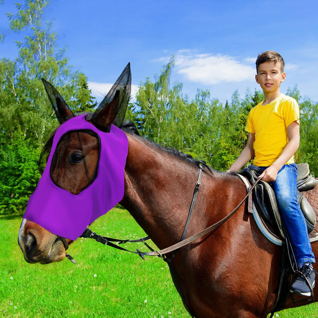 Weewooday 2 Pcs Mesh Horse Fly Mask with Ears, M