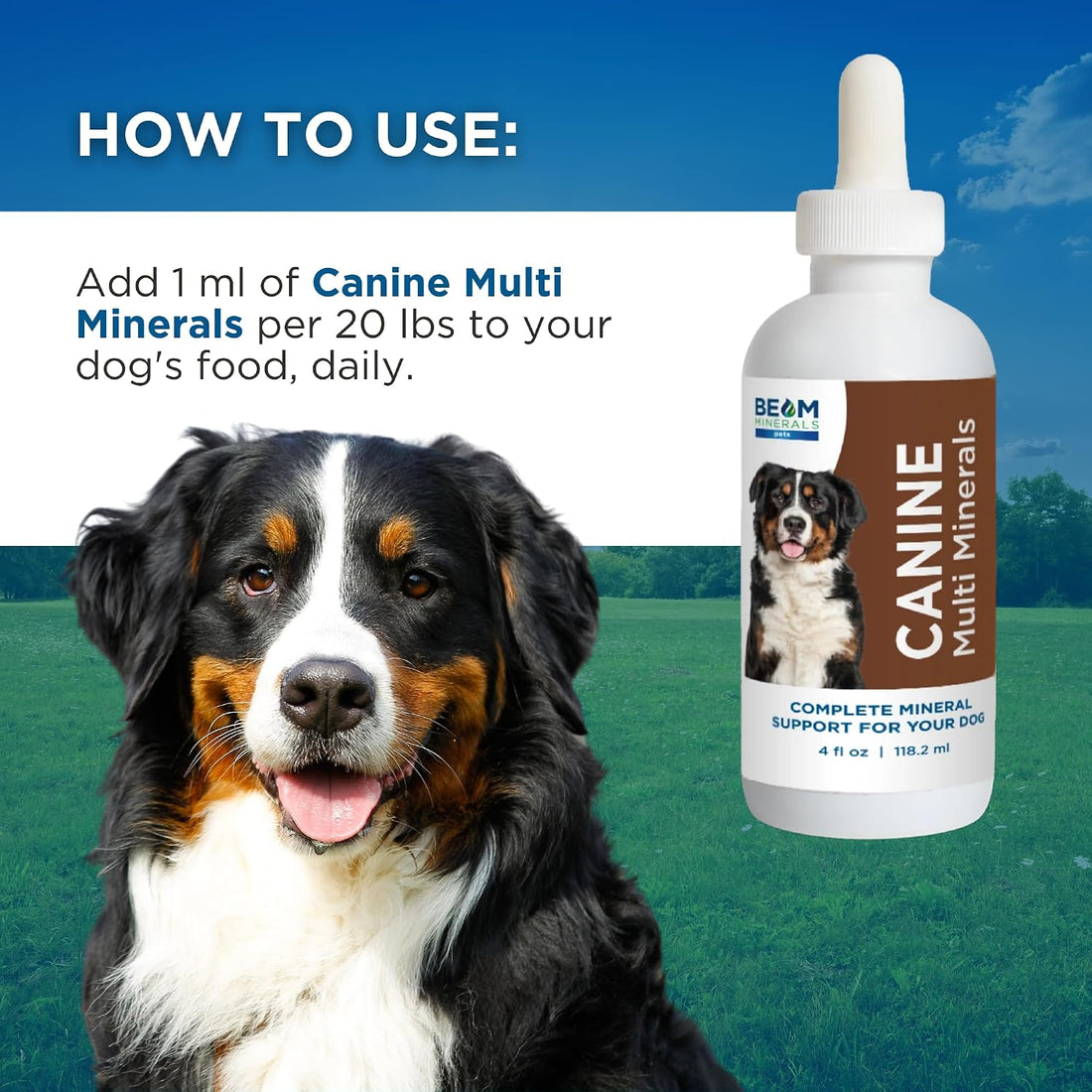 BEAM Minerals Advanced Canine Mineral and Electrolyte Replenishment