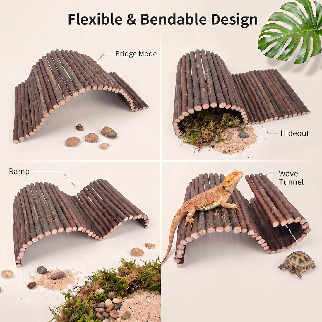 Bearded Dragon Tank Accessories