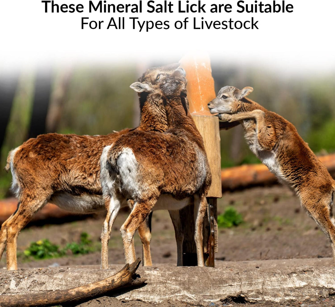 100% Natural Himalayan Rock Deer Salt Licking Block