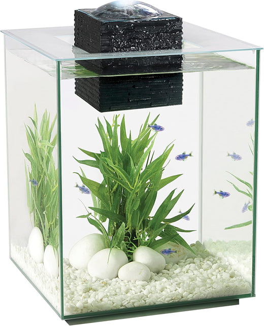 Fluval Chi II Series Aquarium Set, 5-Gallon