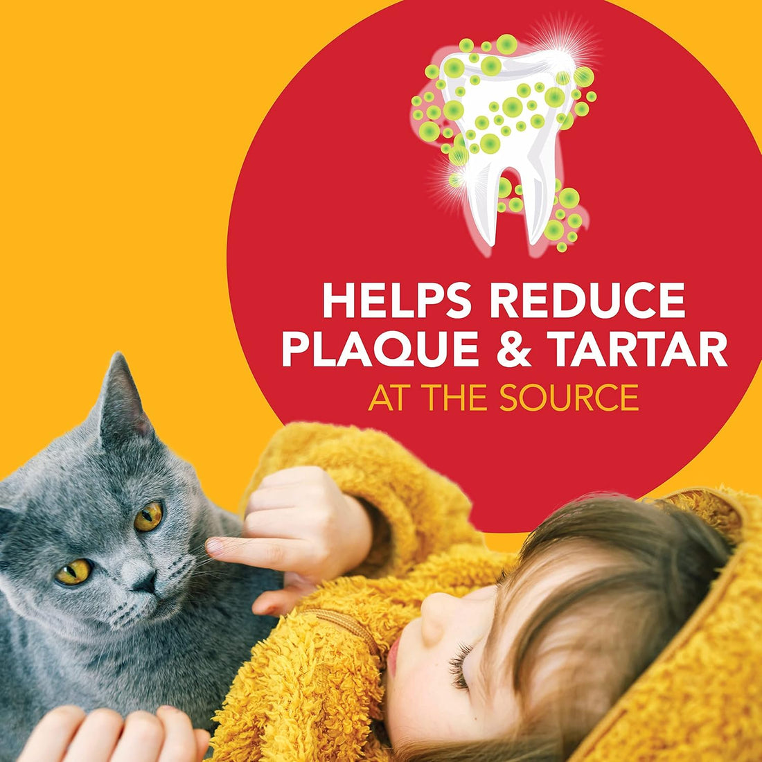 Petrodex Dog Dental Care Kit, Toothbrush & Toothpaste