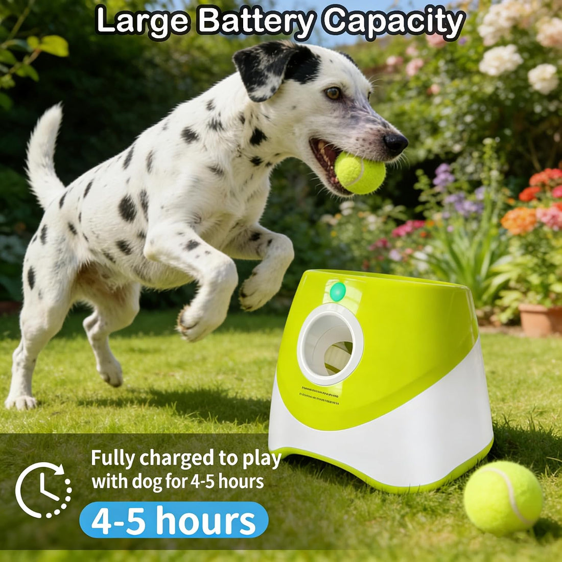 OYE Dog Ball Launcher, Automatic Balls Thrower with 6 Balls for Dog