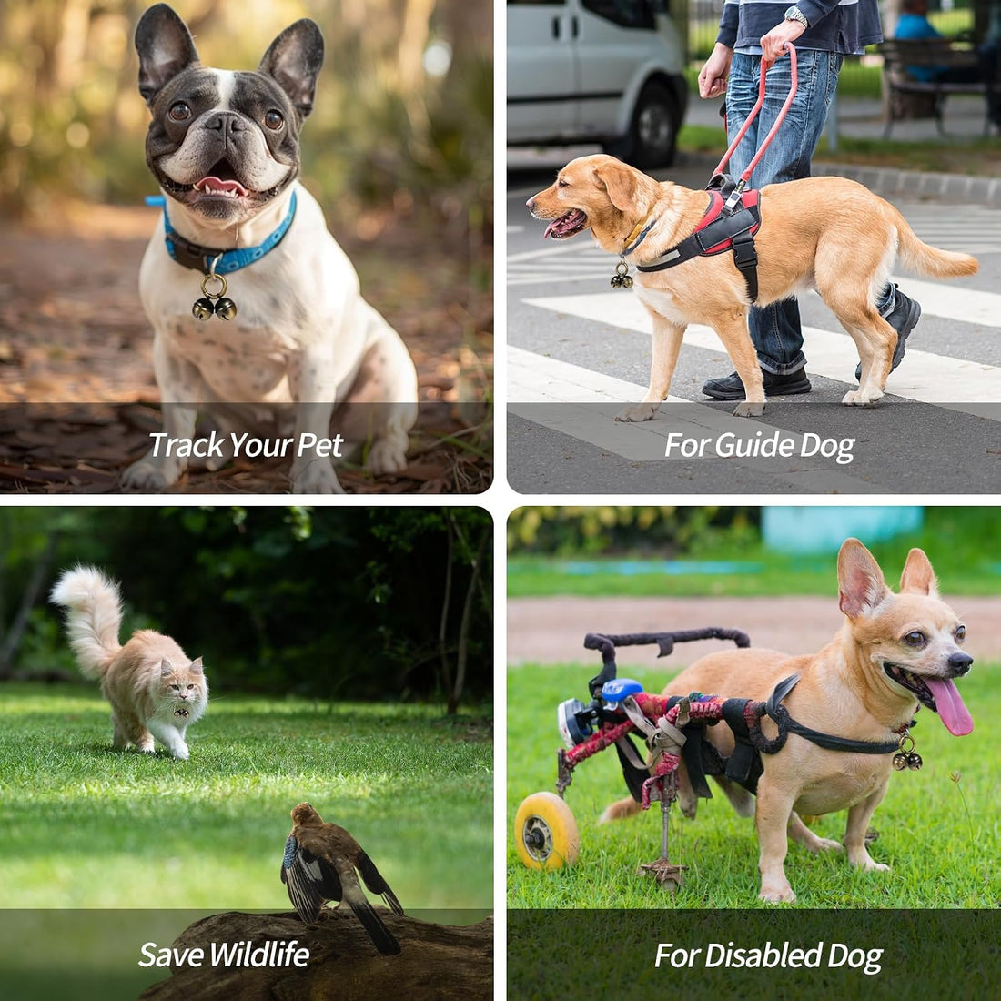 Whimsii Bells for Dog Collars with Easy Clip Clasps