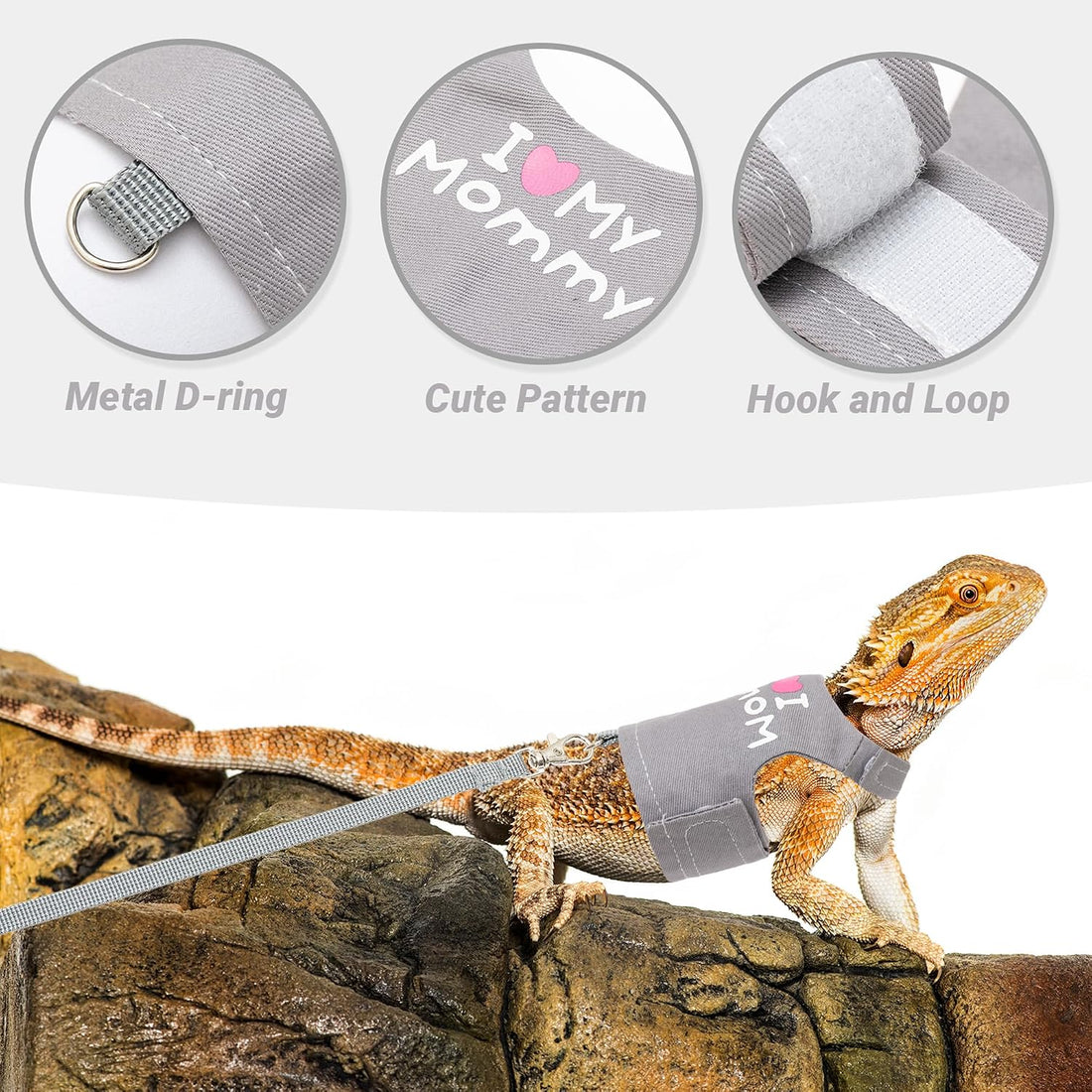 Bearded Dragon Harness and Leash Set