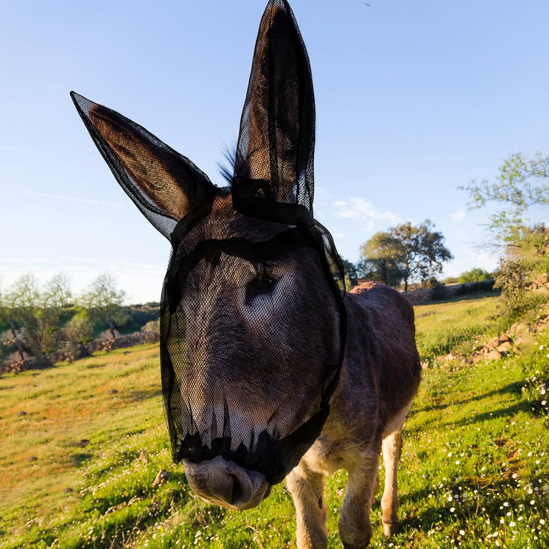 1 Pcs Mini Donkey Fly Mask with Ear Protection, Rose Red