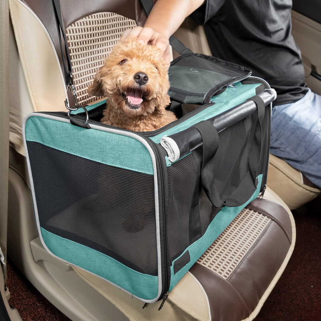 GAPZER Small Dog Carrier Yorkshire Puppy Softshell Chihuahua