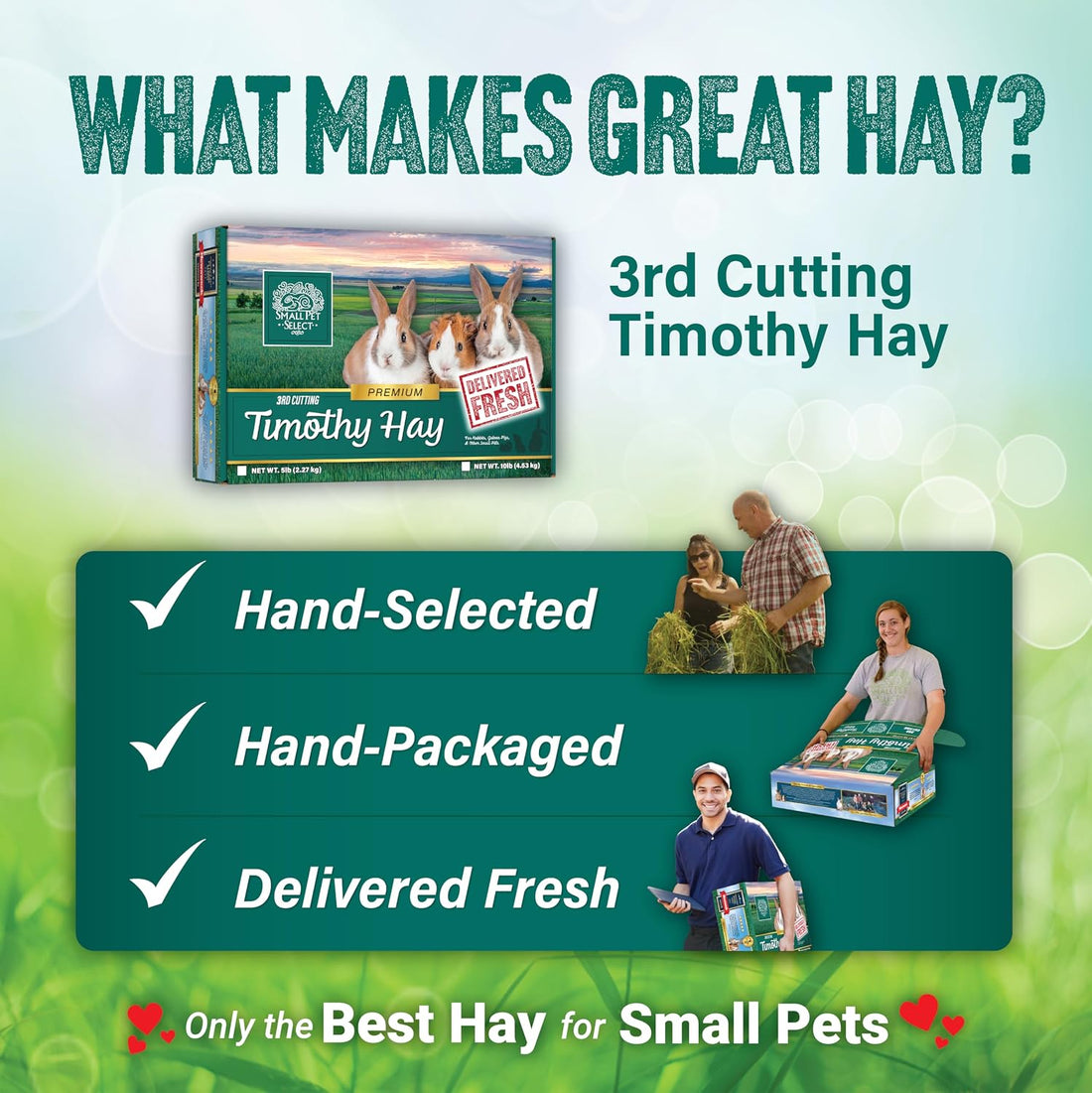 Small Pet Select 3rd Cutting Super Soft Timothy Hay, Picky Eaters