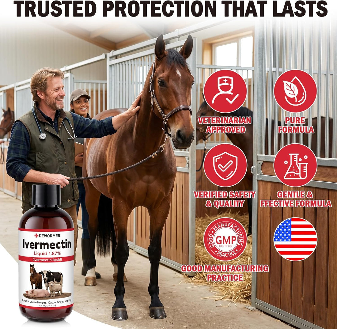 Dewormer, Liquid Formula, for Roundworms, Pinworms, and Others