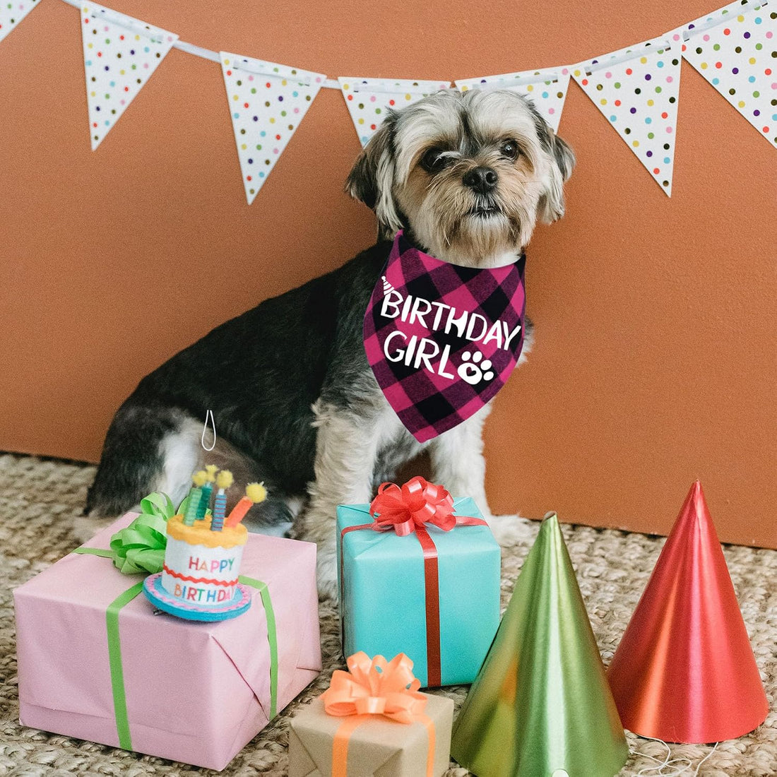 STMK Dog Birthday Bandana, Multi Sizes Dog Birthday Boy Bandana