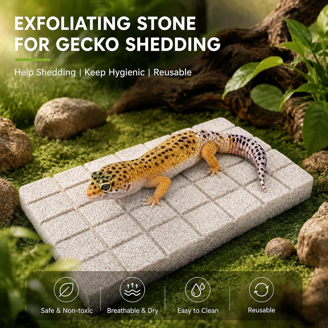 Gecko Shedding Pad, Natural Volcanic Rock Rubbing Stone for Reptile