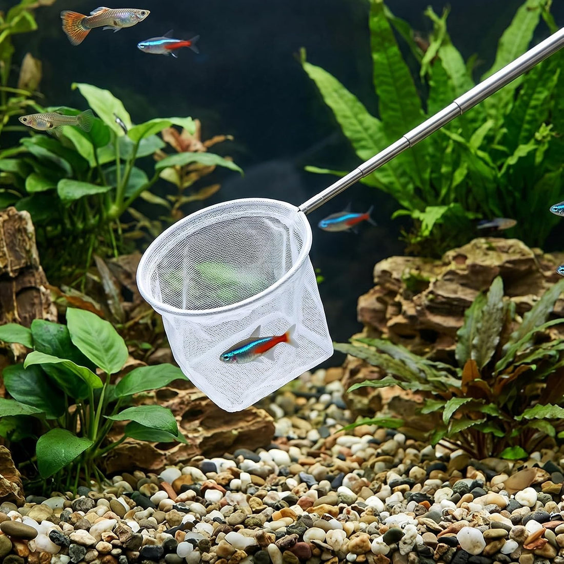 4 Pack Aquarium Fish Net 3" 3.74" Shrimp Nets Small Fish Net for Tank