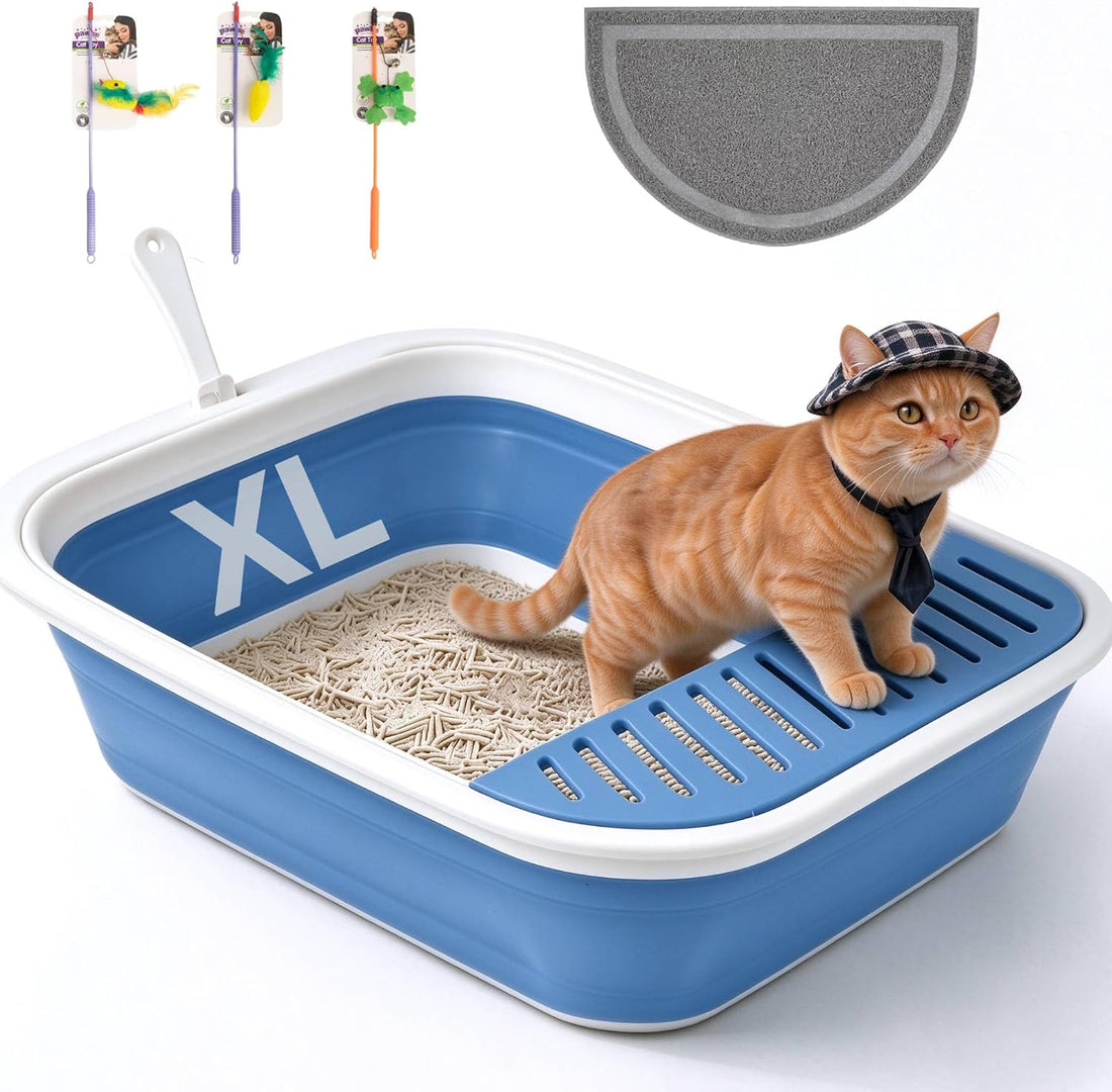 PAWISE Small Cat Litter Box,14.3 x 10.6 x 2.5 Kitten Litter Box