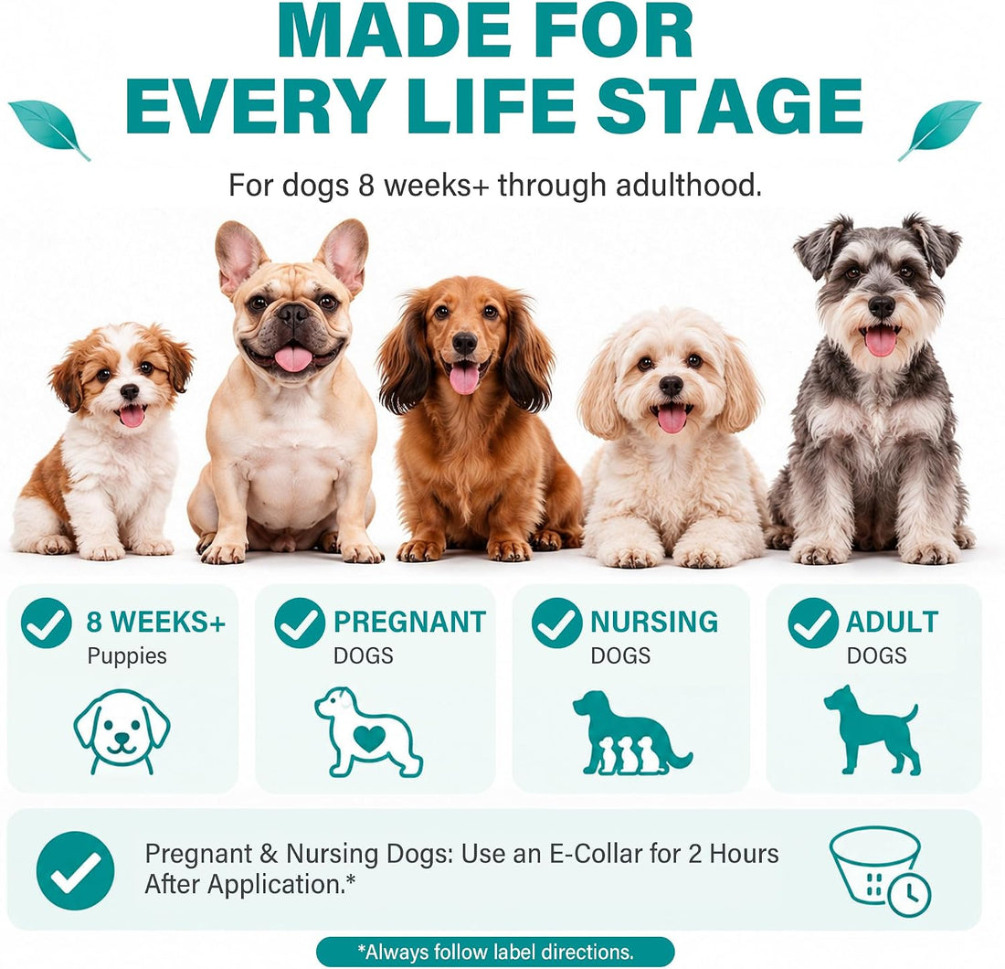 Flea and Tick Preventative for Dogs 5-22 lbs, Topical Flea Drops