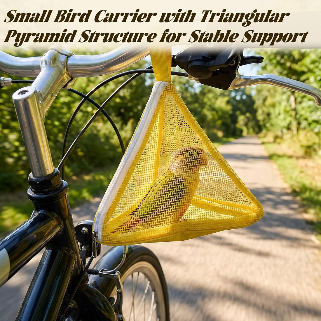 Small Bird Carrier, Triangular Pyramid Mesh Travel Bag with Zipper