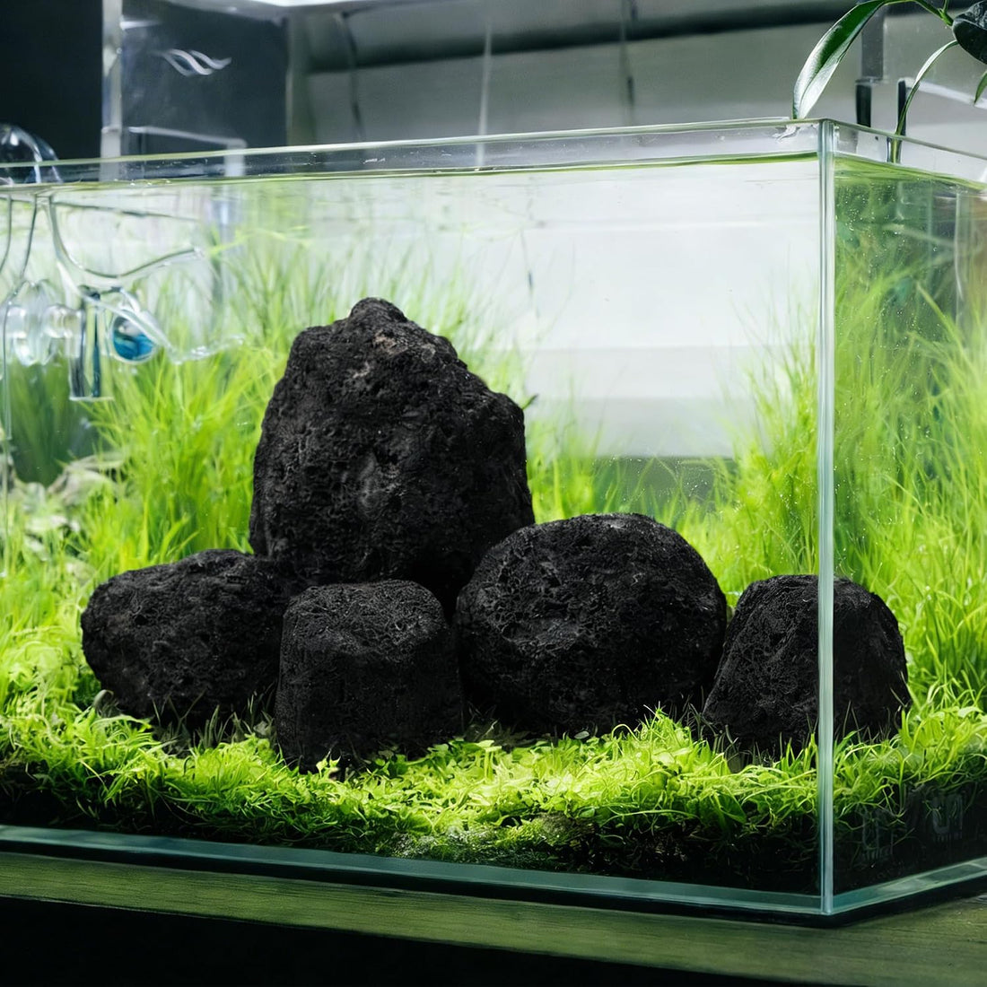2.2-8.1 Inches Natural Black Lava Rock