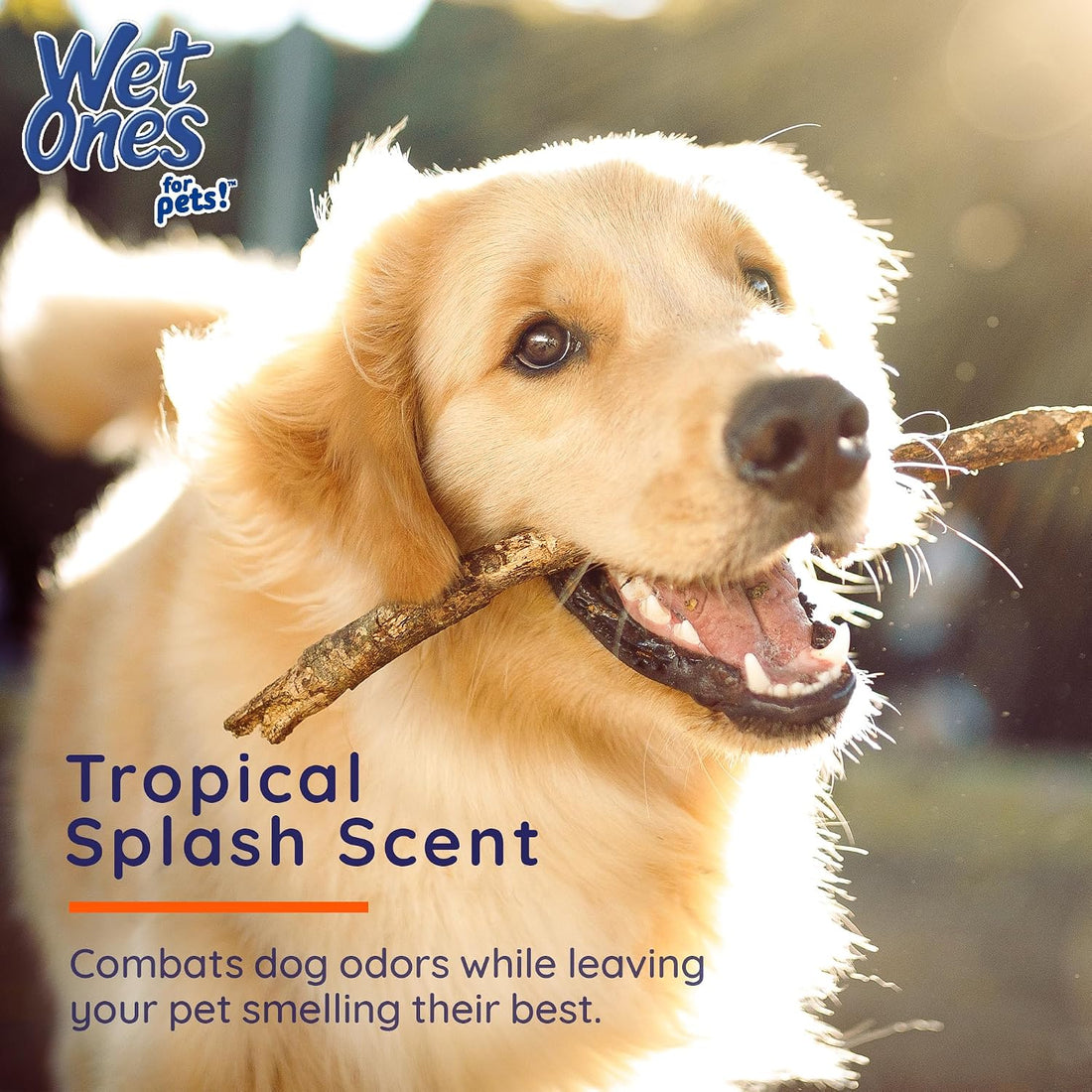 Wet Ones for Pets Antibacterial Dog Wipes, Tropical Splash