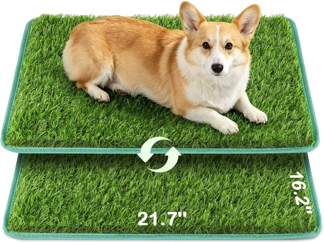 Artificial Grass for Dogs Potty Training