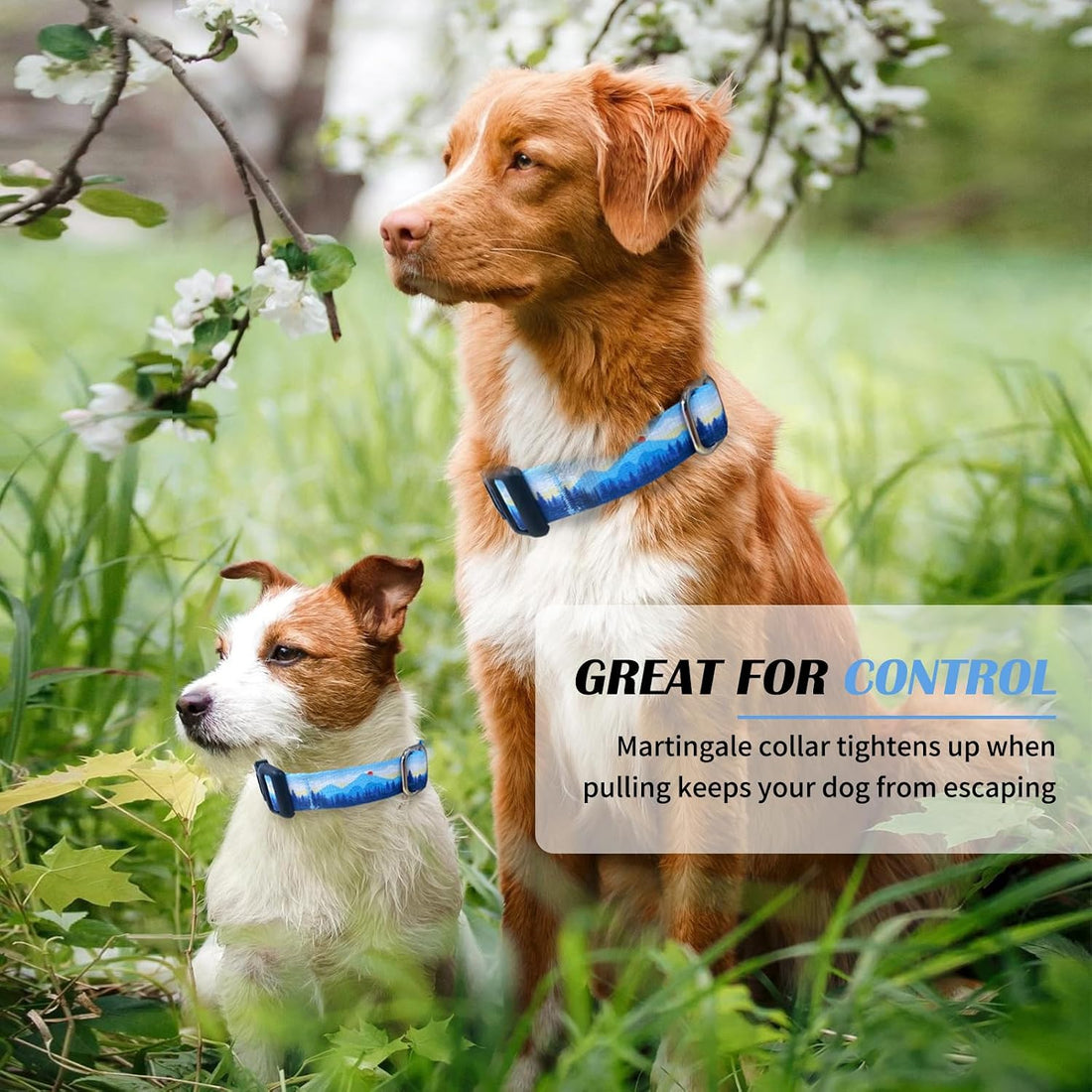 Hikiko Martingale Collar for Dogs with Special Pattern,Adjustable,M