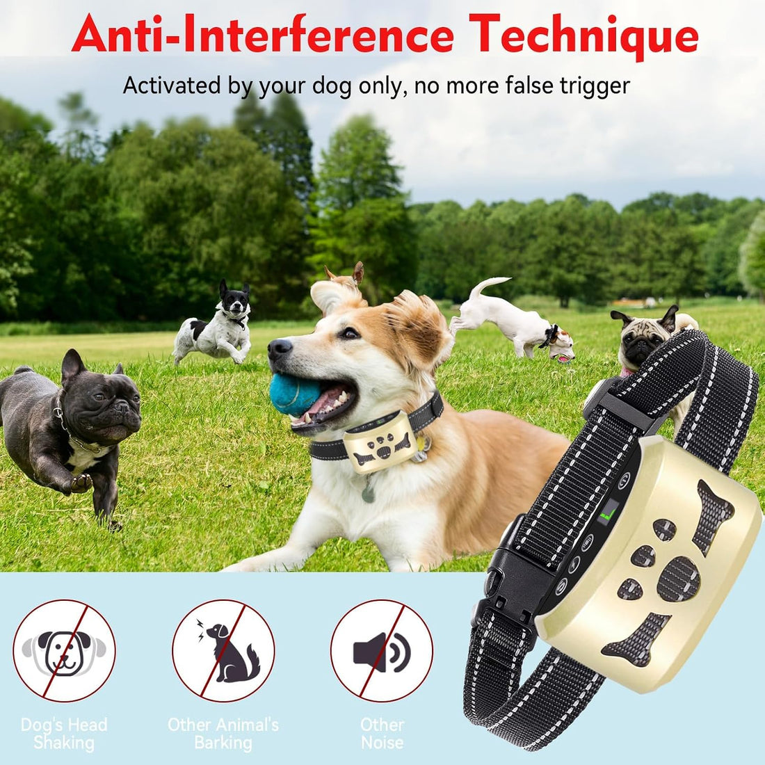 Anti Bark Collar with Auto Safety Shut-Off for Small Medium Large Dogs