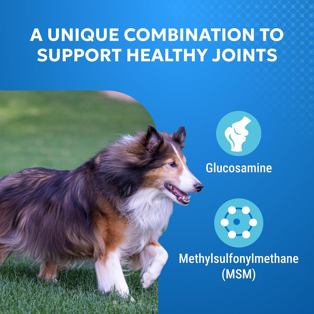 Nutramax Cosequin Elements Joint Supplement, Glucosamine for Dogs
