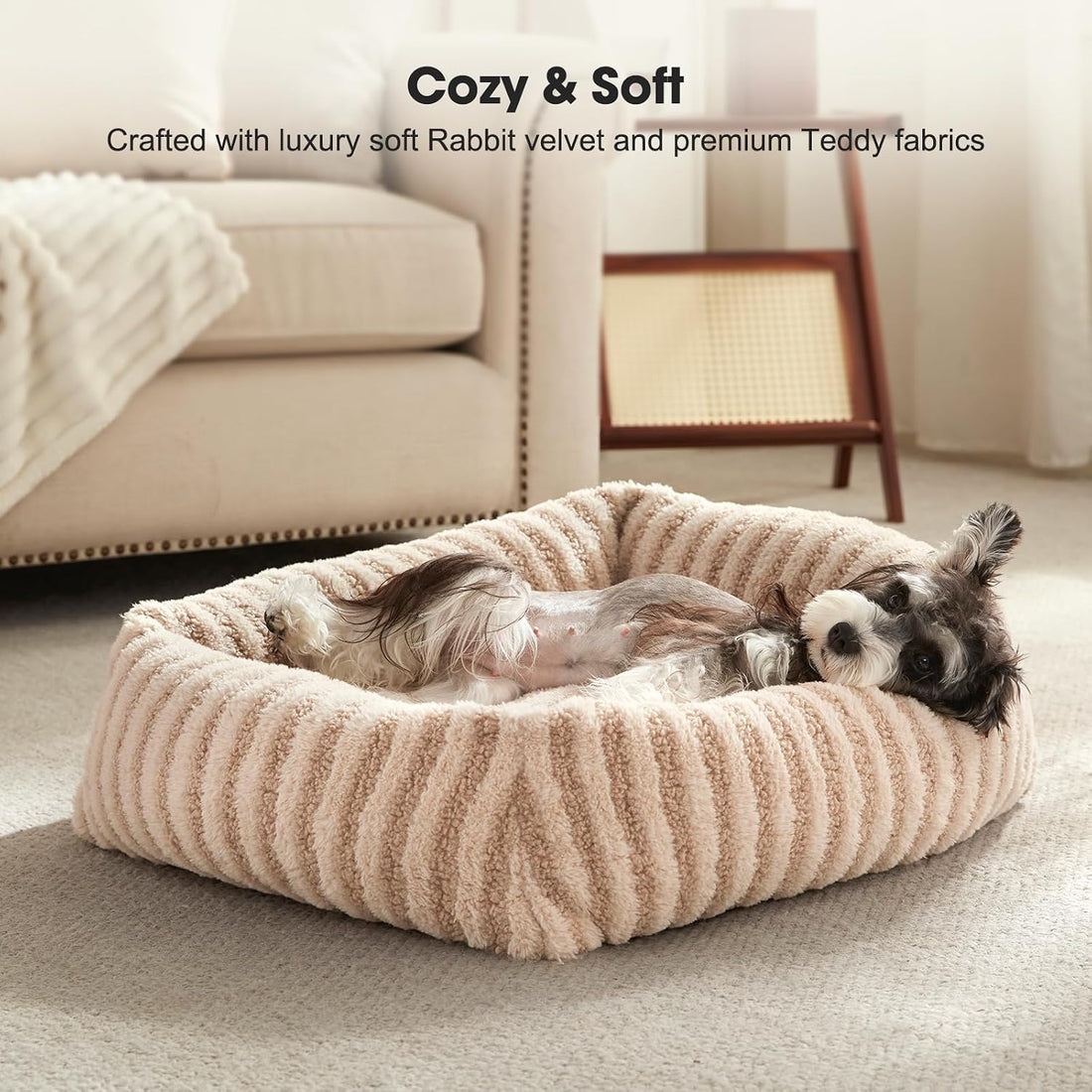 MIXJOY Dog Bed Medium Size Dog