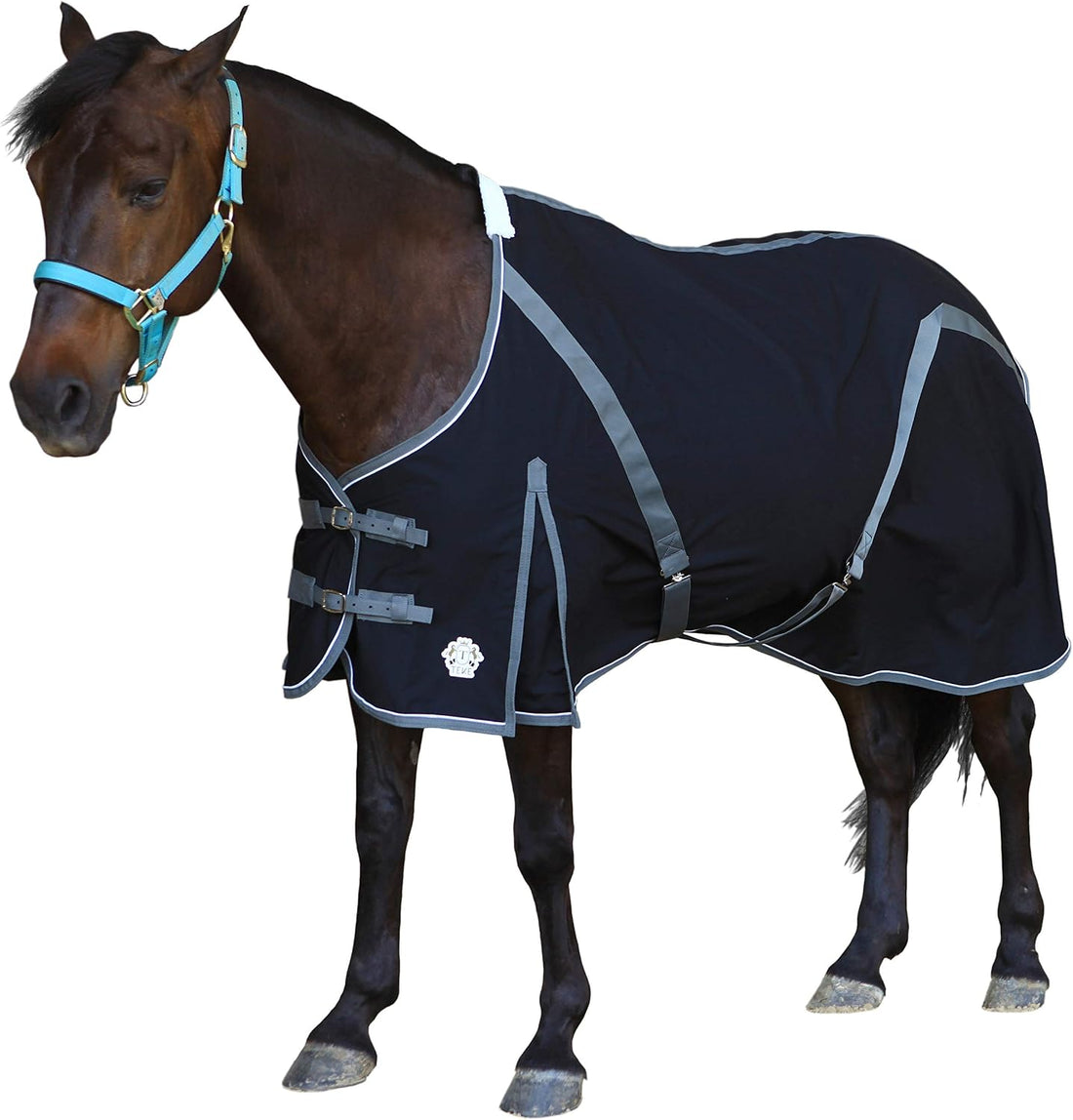 T TEKE Deluxe Horse Canvas Sheet for Snug and Clean in Stable