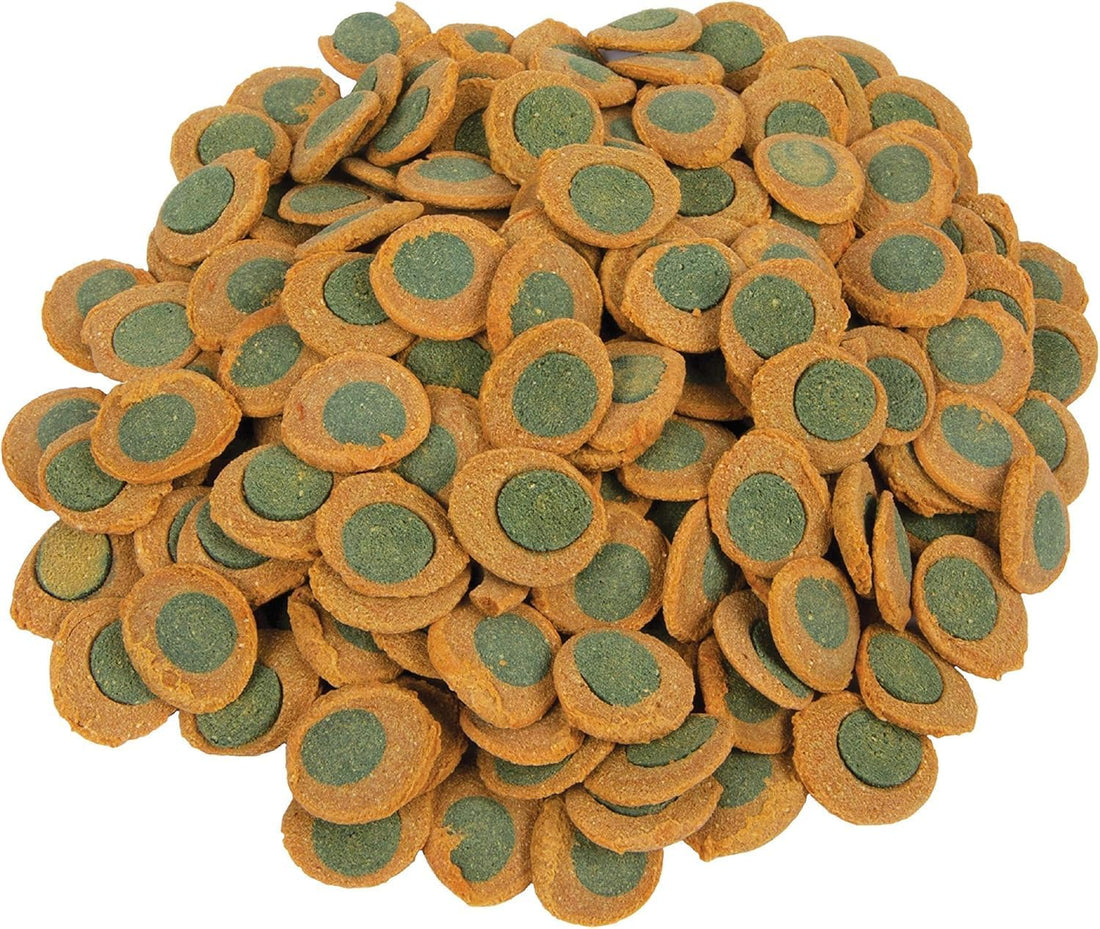 Tetra Pro PlecoWafers Fish Food for Algae-Eaters, 2.12 oz