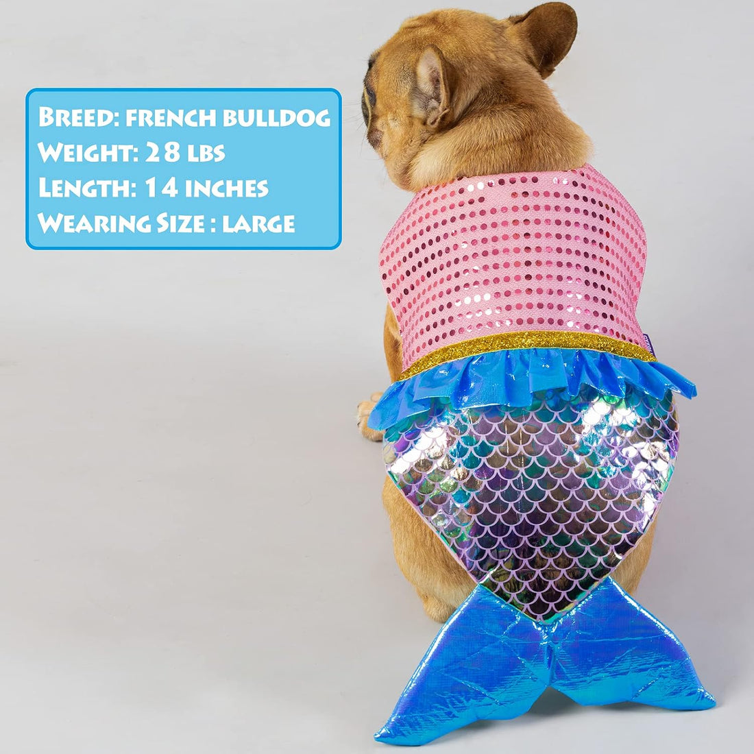 cyeollo Mermaid Dog Halloween Costumes for Small Dogs Holiday Outfit