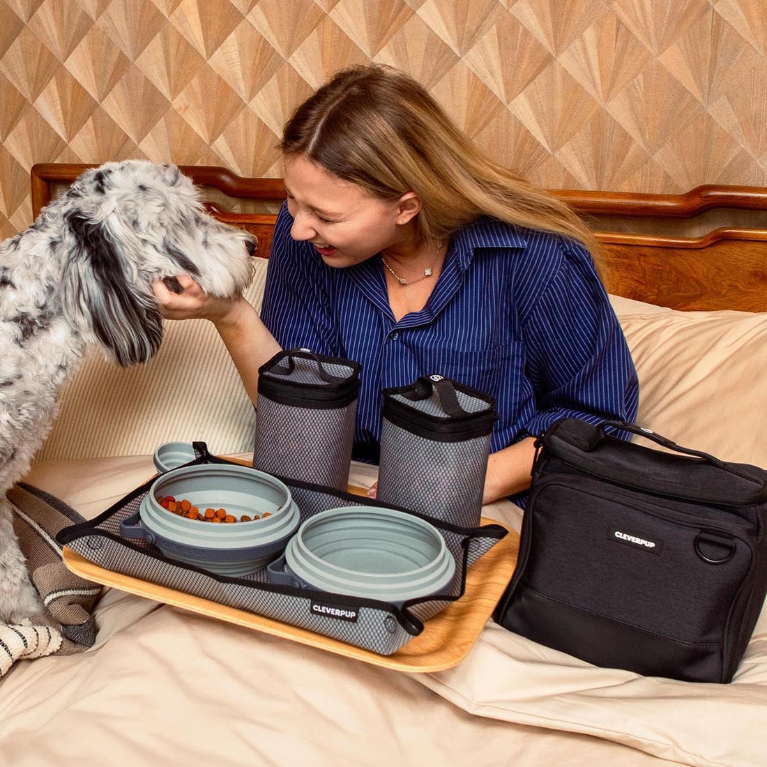 Cleverpup Ultimate Dog Travel Bundle Large 7-piece Bistro Box Dog