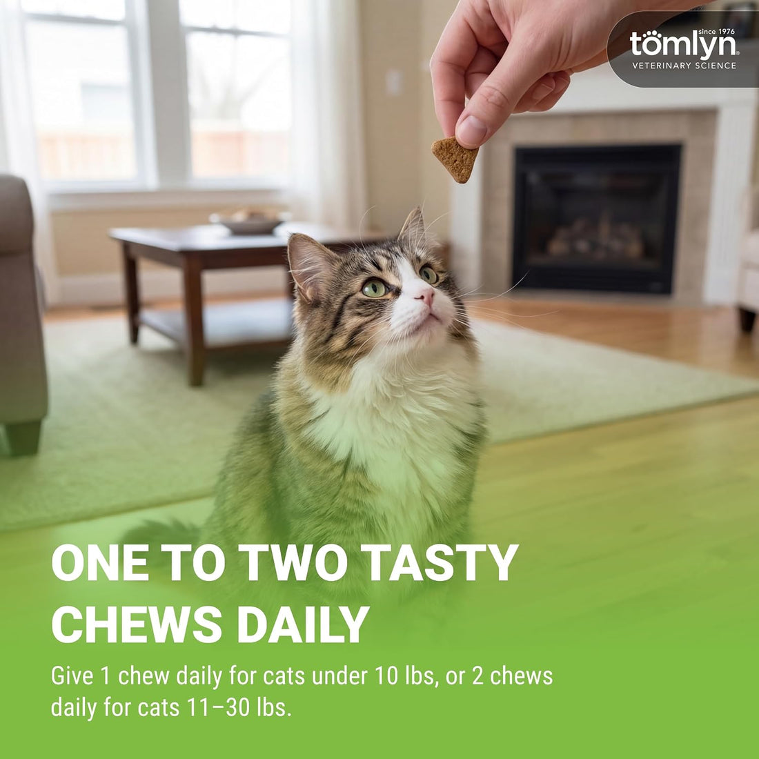 TOMLYN Laxatone Hairball Remedy Chews for Cats