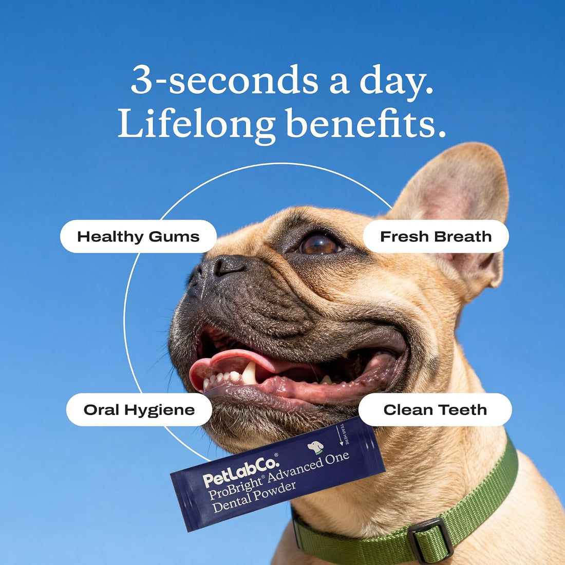 PetLab Co. ProBright Advanced One Dental Powder for Small Dogs