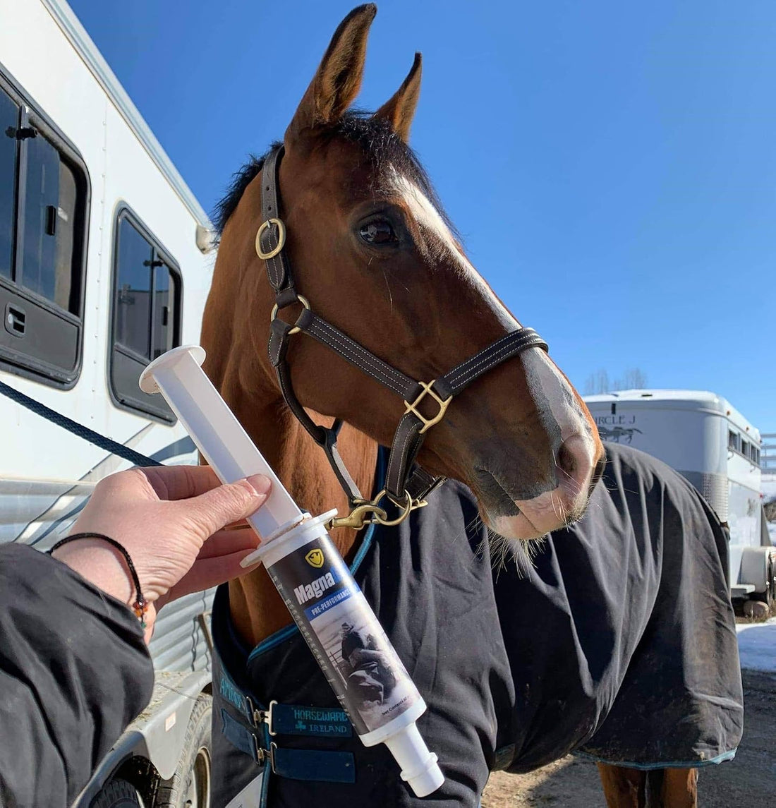 Pre-Performance Paste for Horses - All Natural Calmer, Acid Buffer