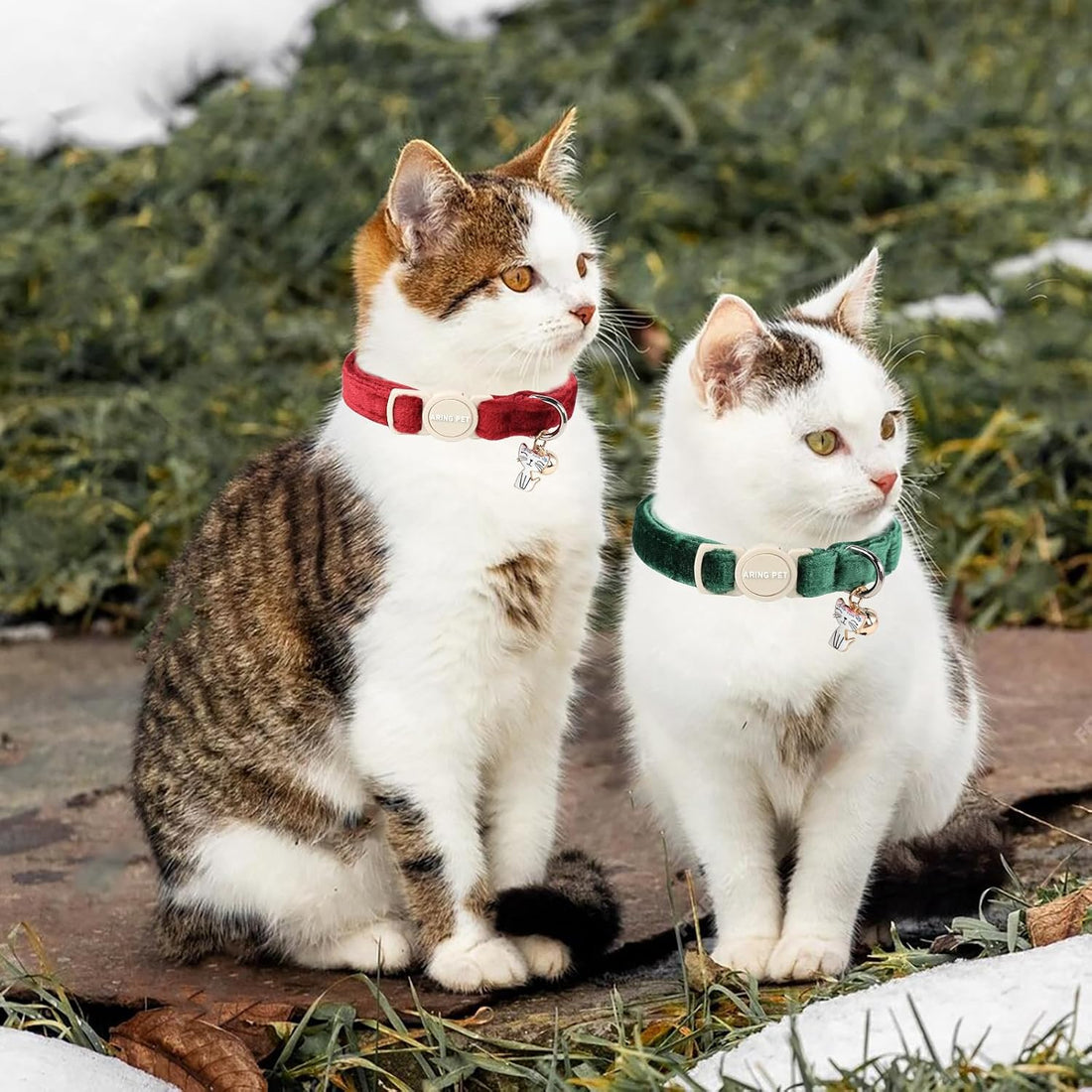 ARING PET Breakaway Cat Collars with Bell & Pendant, Set of Two