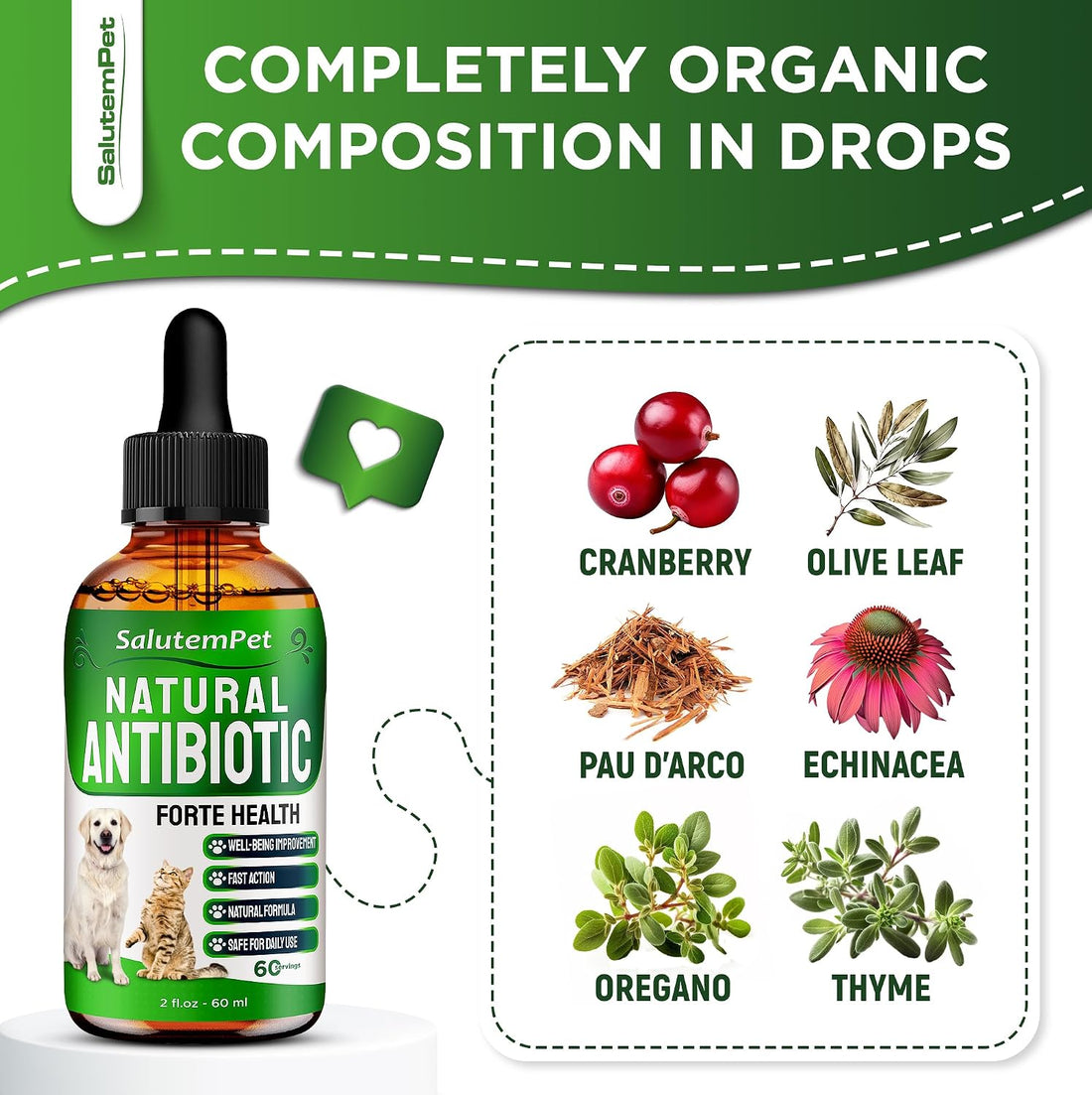 Natural Antibiotics for Dogs to Help with Allergies and UTIs