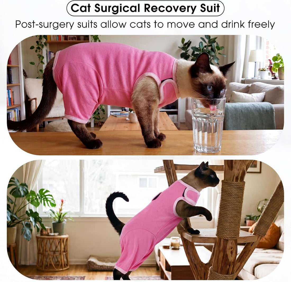 DENTRUN Cat Recovery Suit, Easy On Post-Surgery Onesie with Hind Legs