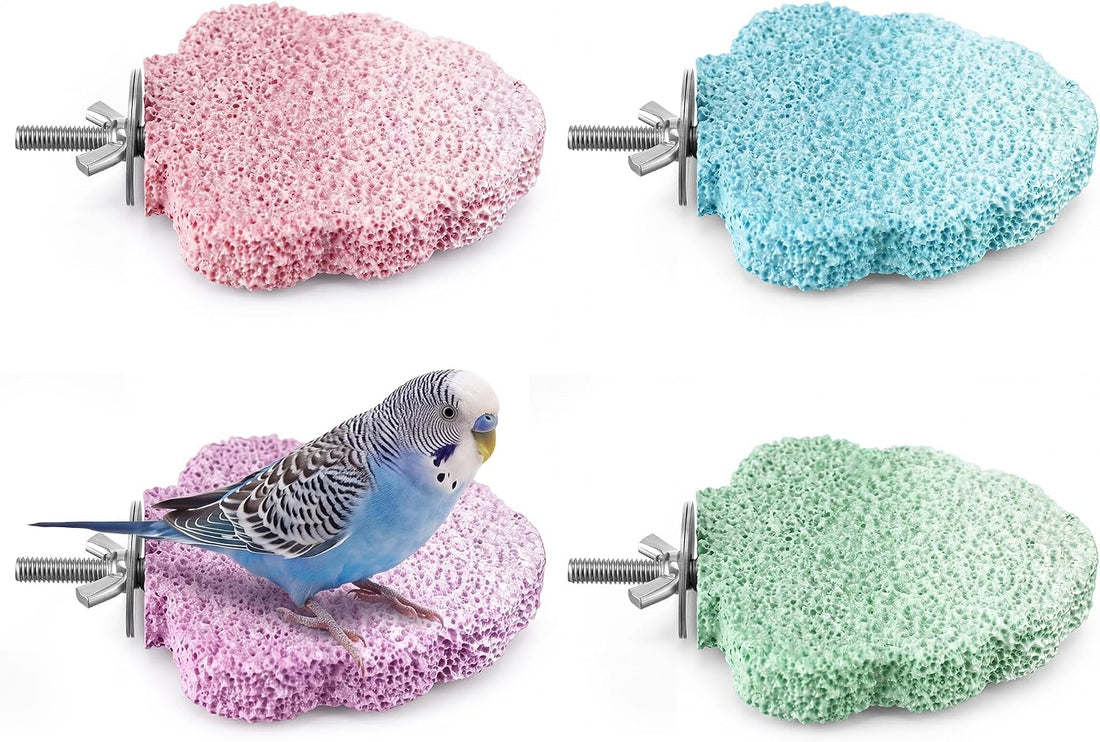 4 PCS Bird Beak Grinding Stone Pumice Lava Ledge